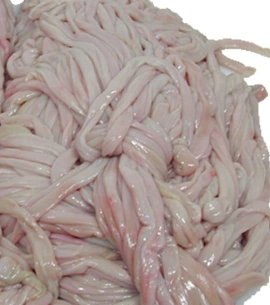 Goat/Cow intestine (roundabout)