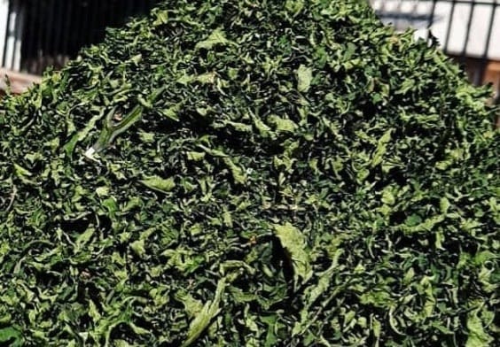 Dried Ugu (Pumpkin) leaves