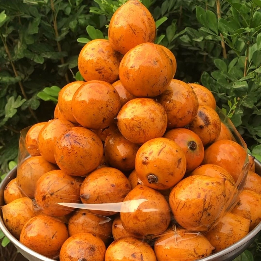 Agbalumo/Udara (sold out)