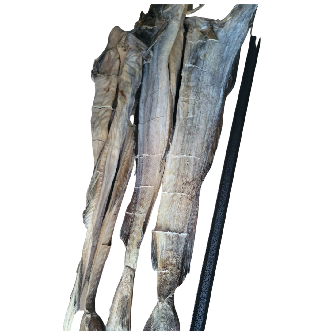 Stockfish