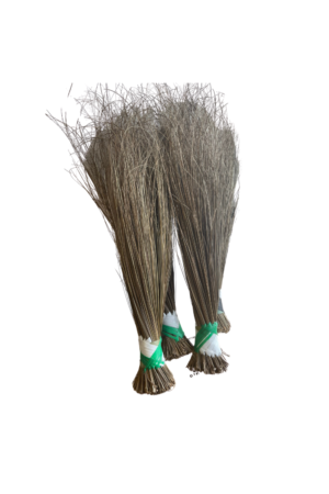 African Broom